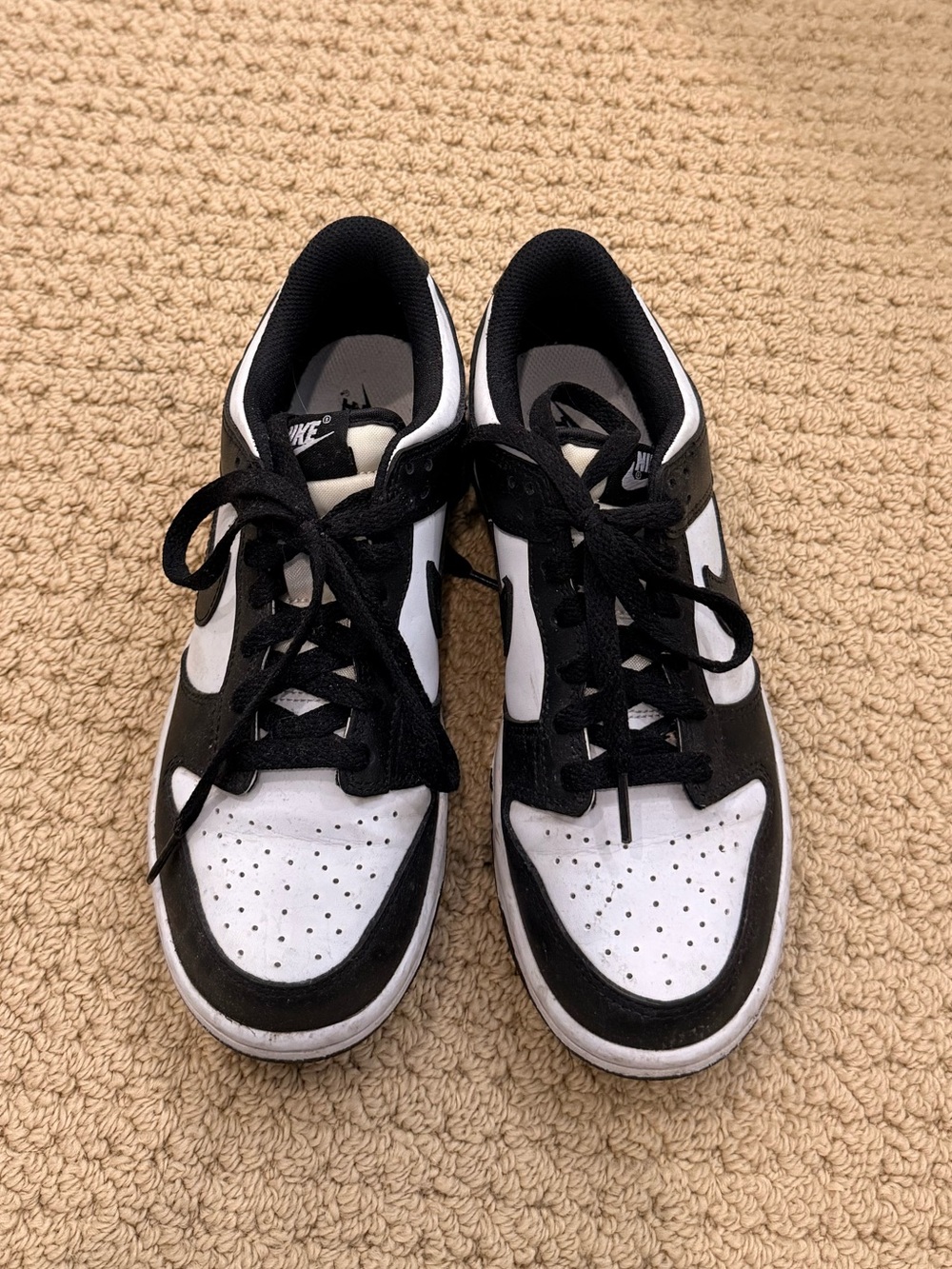 Nike Panda Low-Top Sneakers